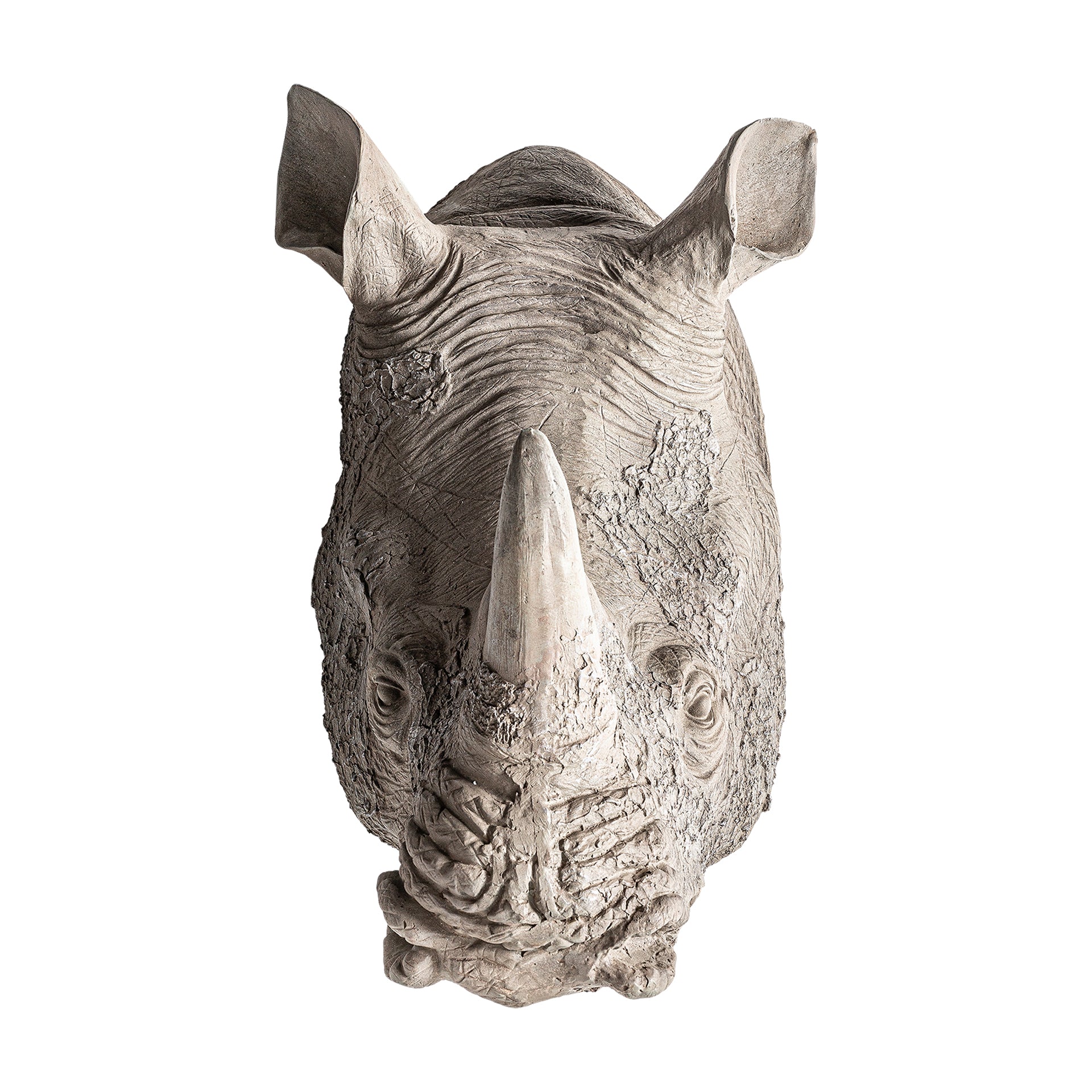 RINOCERONTE BUST